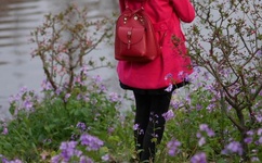 日韩欧美群交P片內射中文